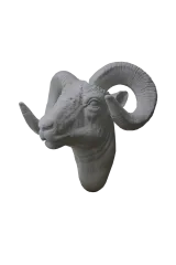 Ram Head 2
