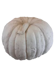 Round Pumpkin Large 2