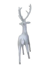 Geyik Dev Fiber 5