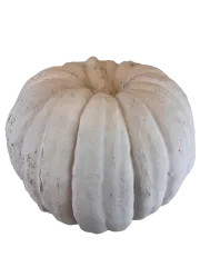 Round Pumpkin Large 4