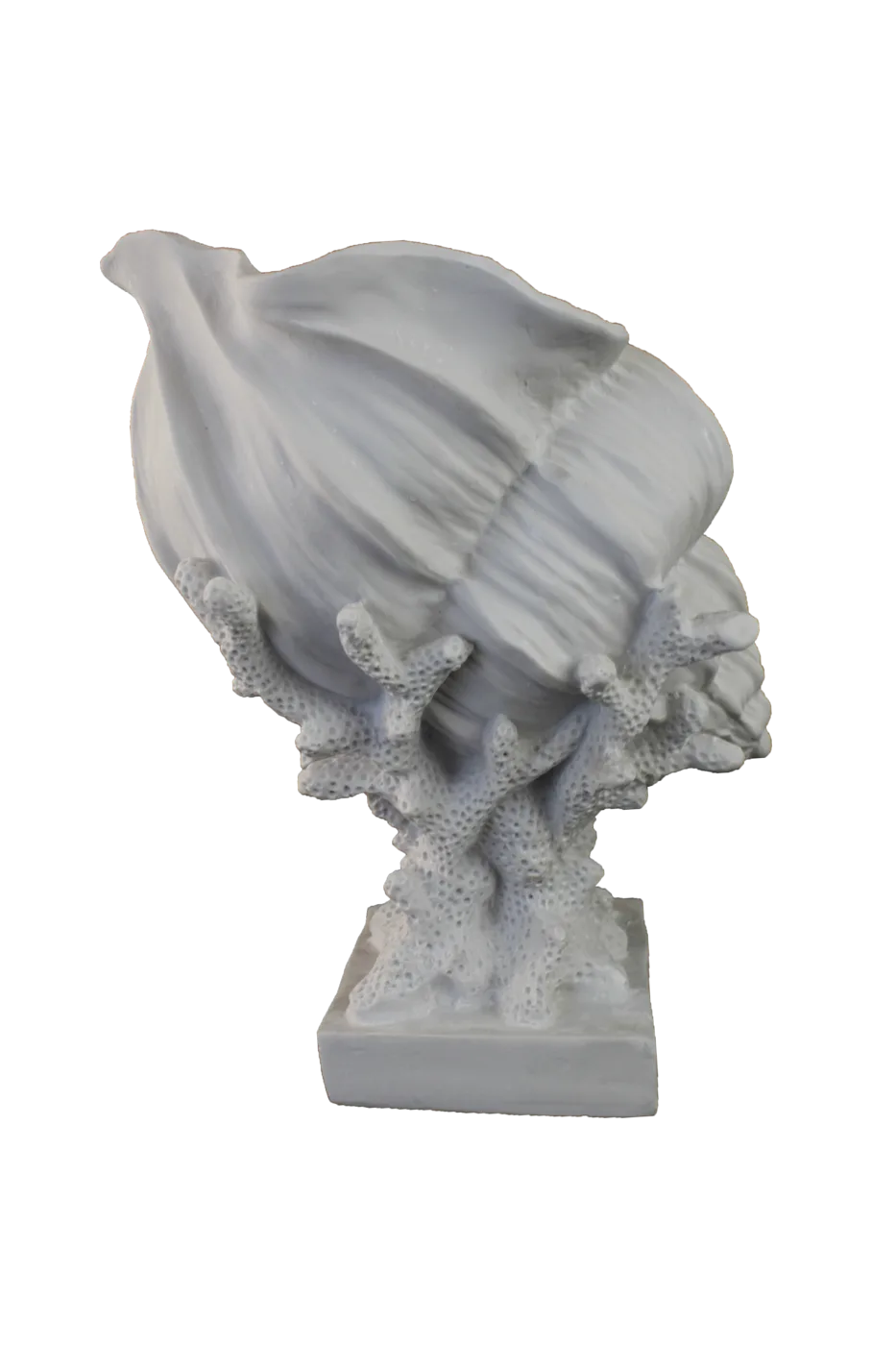 Sea Shell Coral — Garden Group — 29x24 cm