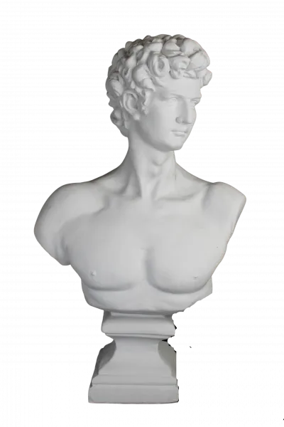 David Büst Büyük — Heykel - Biblo — 56x34 cm