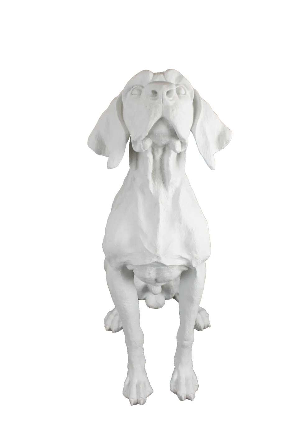 Fiber Av Köpeği — Hayvan Figürleri — 90x65 cm