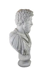 Marcus Büst Dev 4