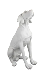 Av Köpeği Fiber 3