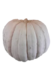 Round Pumpkin Large 3