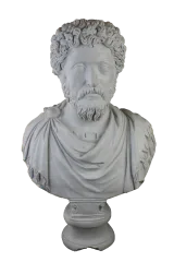 Marcus Büst Dev 2