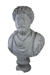 Marcus Büst Dev 6
